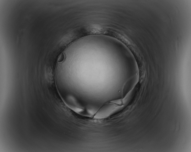 X0000085060469200703051443