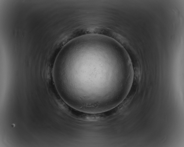 X0000085060470200703051443