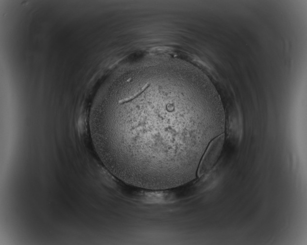 X0000085060473200703051443