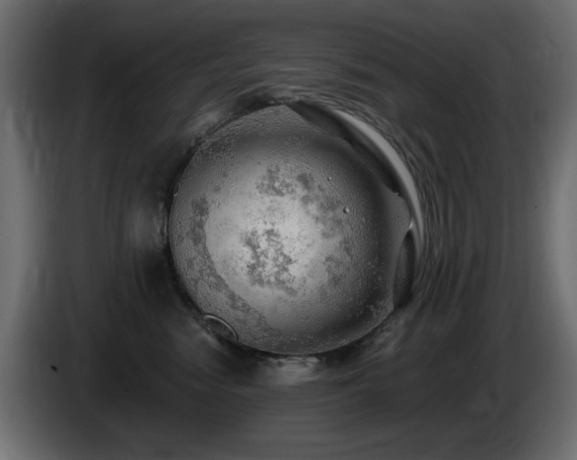 X0000085060474200703051443