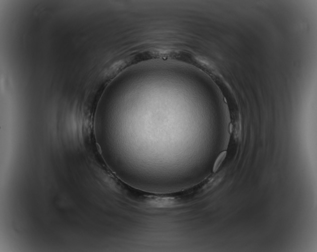X0000085060476200703051443