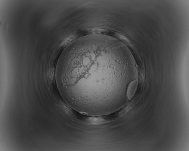 X0000085060477200703051443