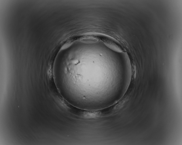 X0000085060479200703051443