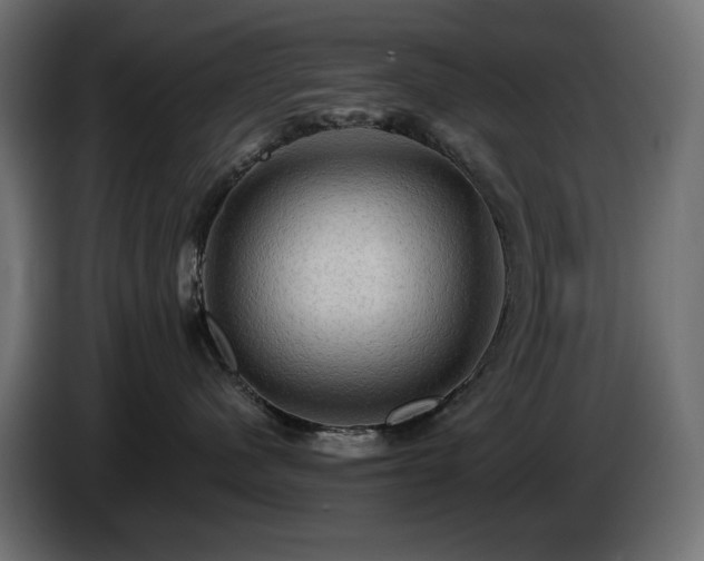 X0000085060480200703051443