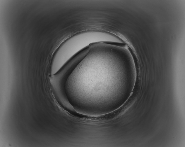X0000085060481200703051442