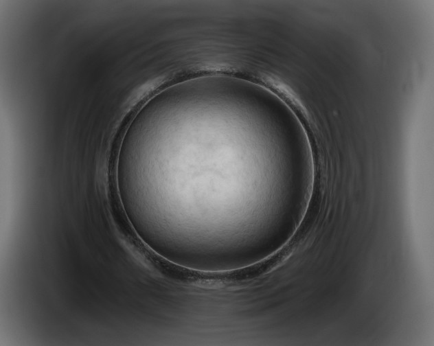 X0000085060482200703051442