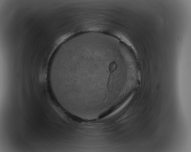 X0000085060483200703051442