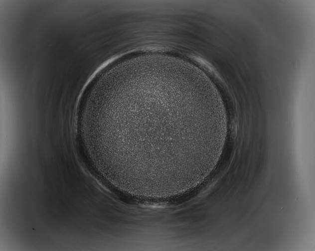 X0000085060484200703051442