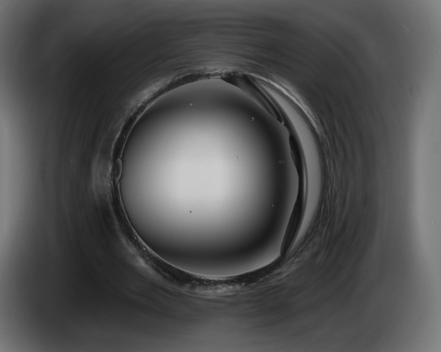 X0000085060485200703051442