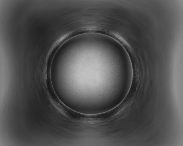 X0000085060486200703051442