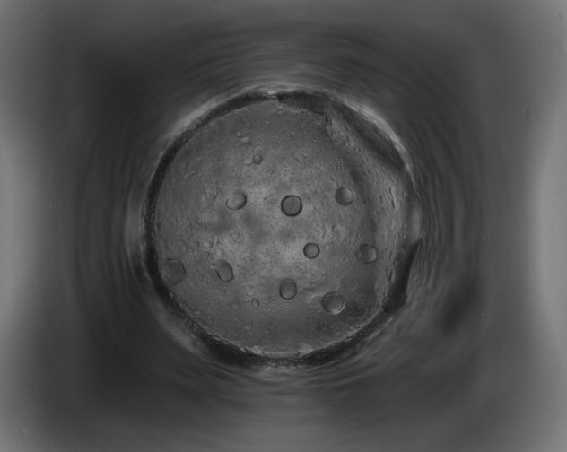 X0000085060487200703051442