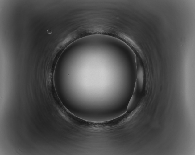 X0000085060489200703051442