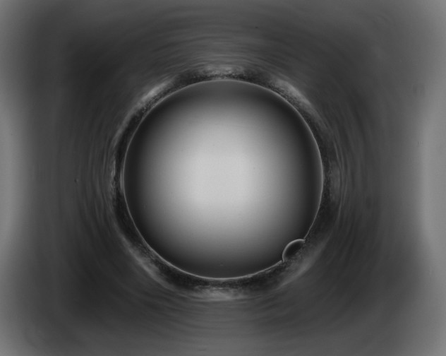 X0000085060490200703051442