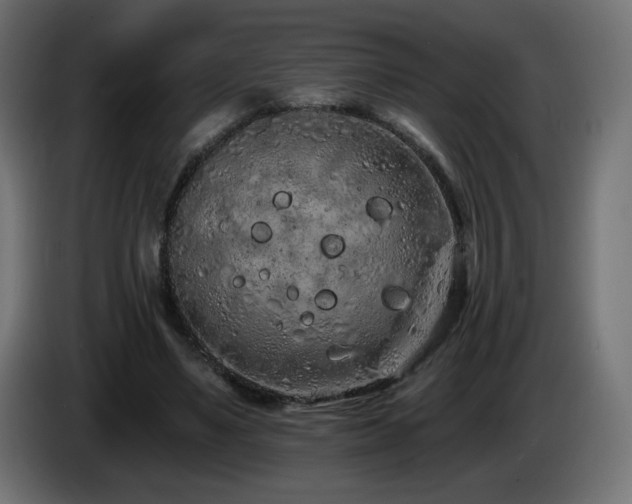 X0000085060491200703051442