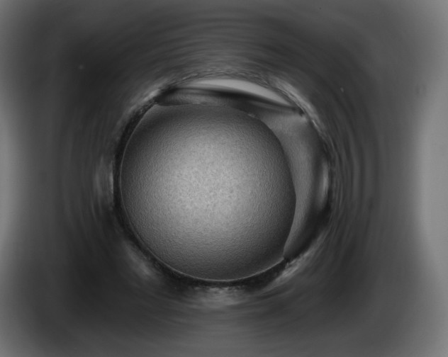 X0000085060493200703051442