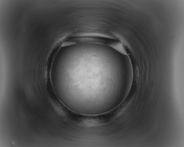 X0000085060494200703051442