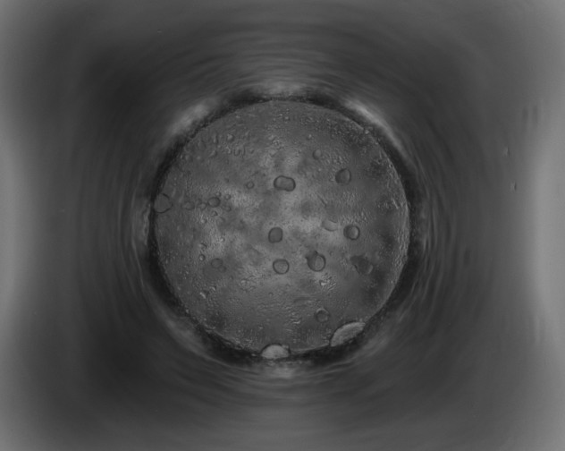 X0000085060495200703051442
