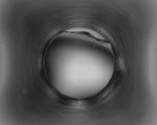 X0000085060497200703051442