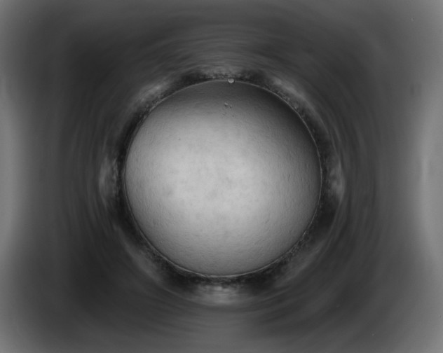 X0000085060498200703051442