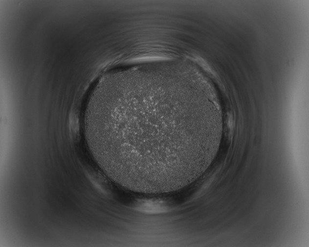 X0000085060500200703051442