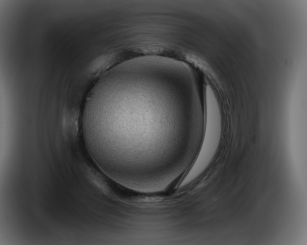 X0000085060501200703051442