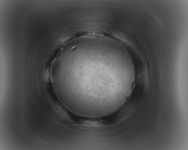 X0000085060502200703051442
