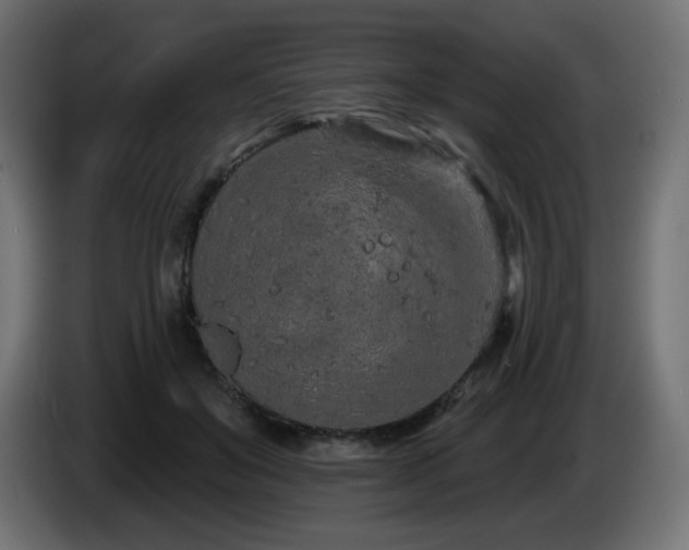 X0000085060503200703051442