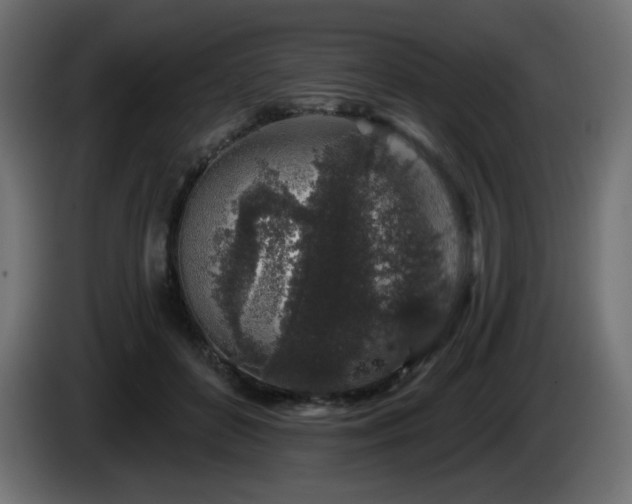 X0000085060504200703051442