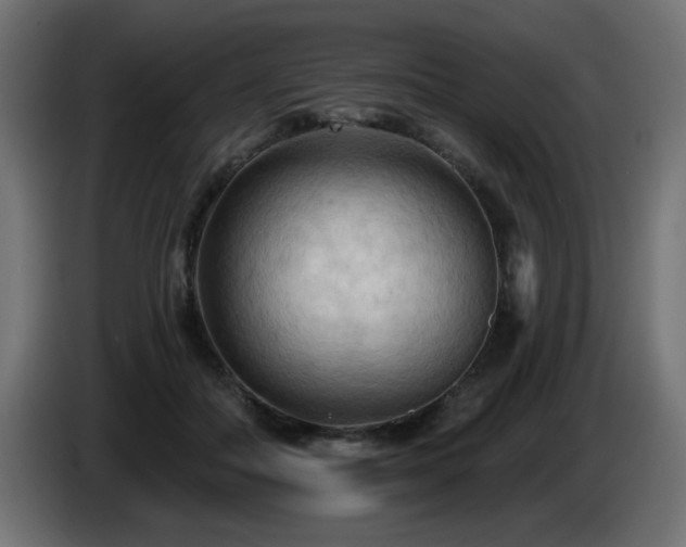 X0000085060506200703051442