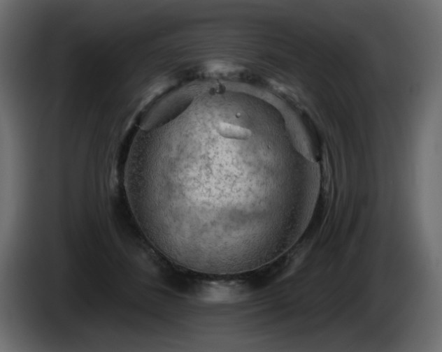 X0000085060508200703051442