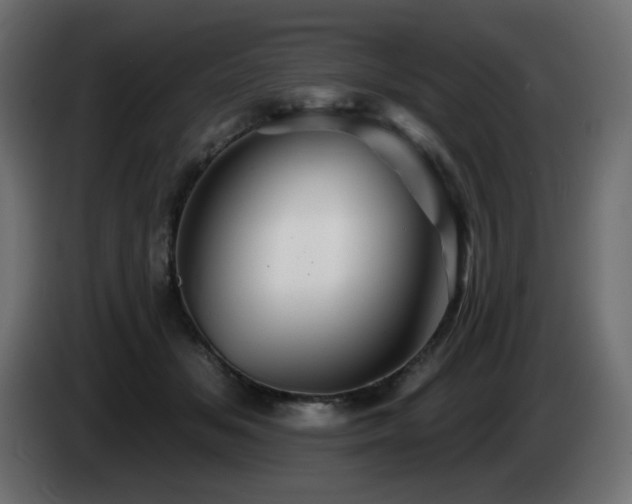 X0000085060509200703051442
