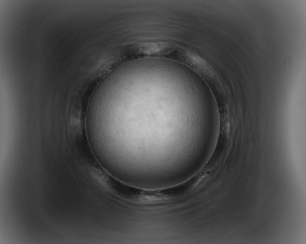 X0000085060510200703051442