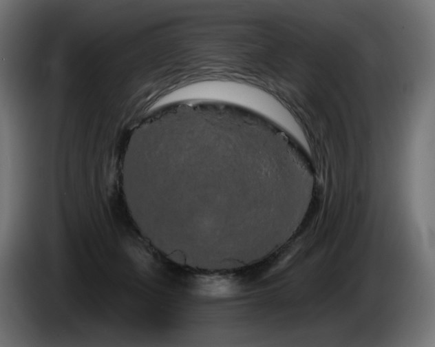 X0000085060511200703051442