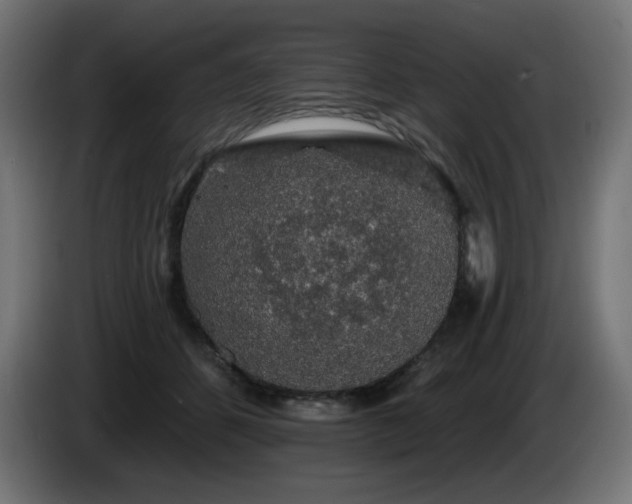 X0000085060512200703051442
