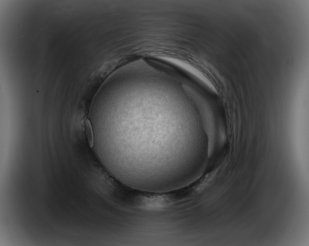 X0000085060513200703051442