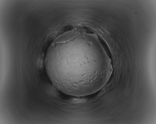 X0000085060515200703051442