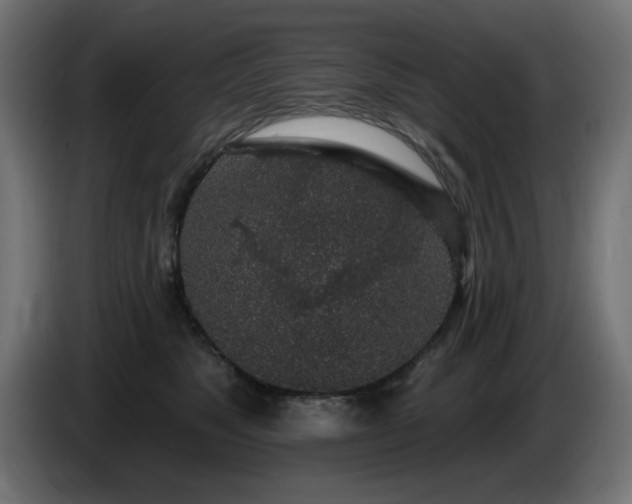 X0000085060517200703051442