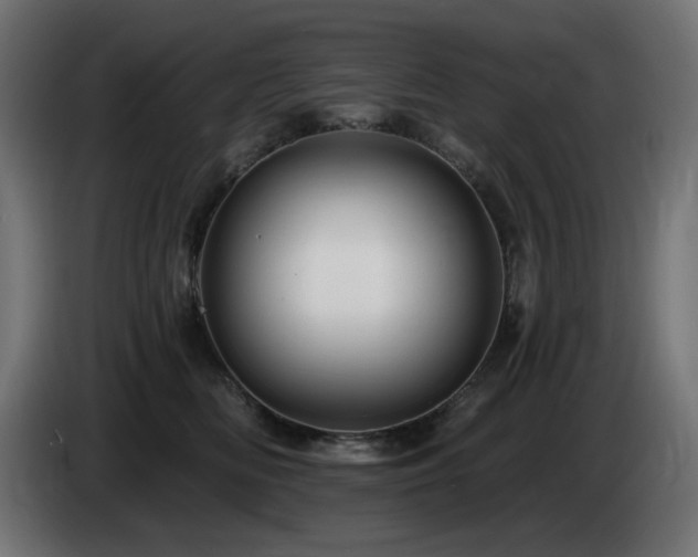 X0000085060518200703051442