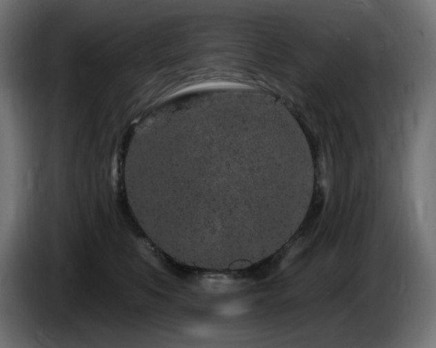X0000085060519200703051442