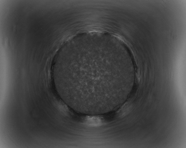 X0000085060520200703051442