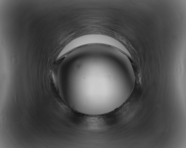 X0000085060521200703051442
