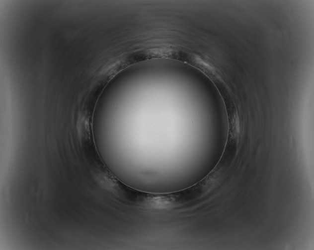 X0000085060522200703051442