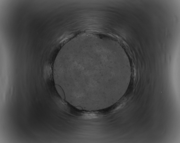 X0000085060523200703051442
