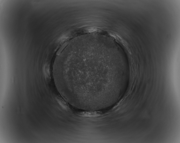 X0000085060524200703051442