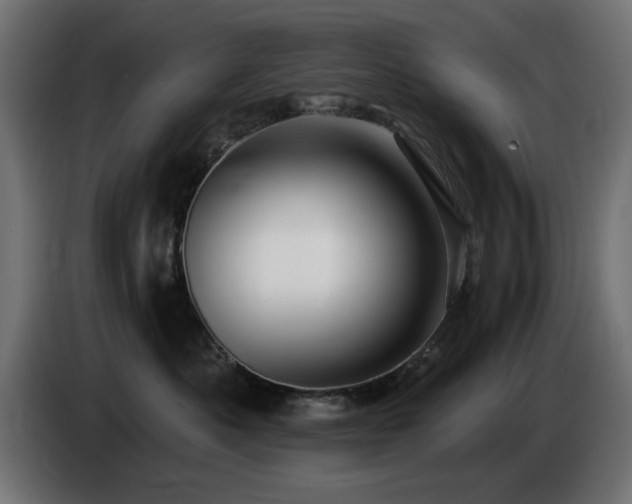 X0000085060525200703051442