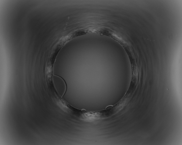 X0000085060526200703051442