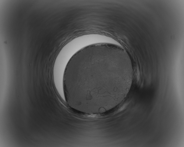X0000085060527200703051441