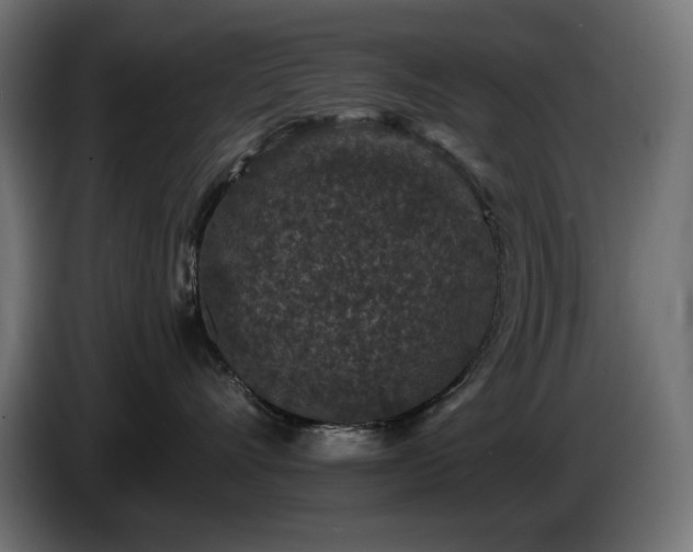 X0000085060528200703051441