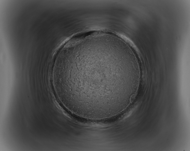 X0000085060529200703051441