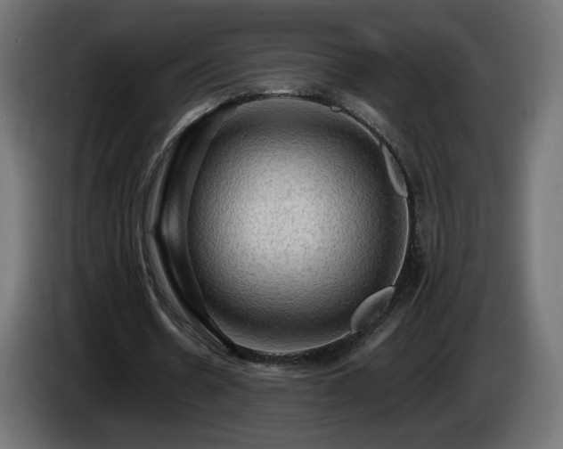X0000085060530200703051441